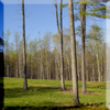 virginia land appraisal